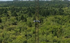 Misiones refuerza su esquema de prevención de incendios: alerta temprana, drones y respuesta rápida