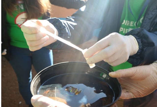 Imagen de la noticia: Intensifican los trabajos de prevención contra el dengue