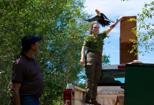 Ecología: liberaron animales silvestres víctimas de mascotismo en el Parque Ecológico El Puma