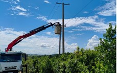 Energía: refuerzan mantenimiento en líneas rurales de El Soberbio