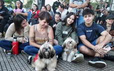 Más de 70 mascotas desfilaron el sábado por el Día del Animal y para promover la tenencia responsable