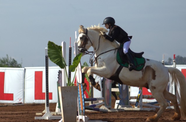 Imagen de la noticia: Lara, una niña de 12 años, convirtió la pasión por la equitación en un verdadero estilo de vida
