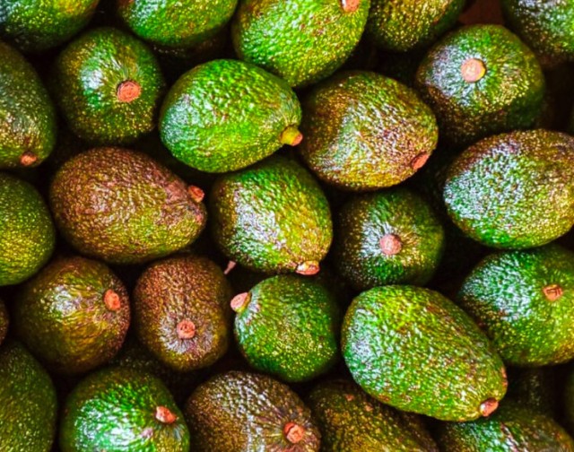 Imagen de la noticia: Agro: Crece el interés por el cultivo de palta en Misiones como alternativa para diversificar la chacra
