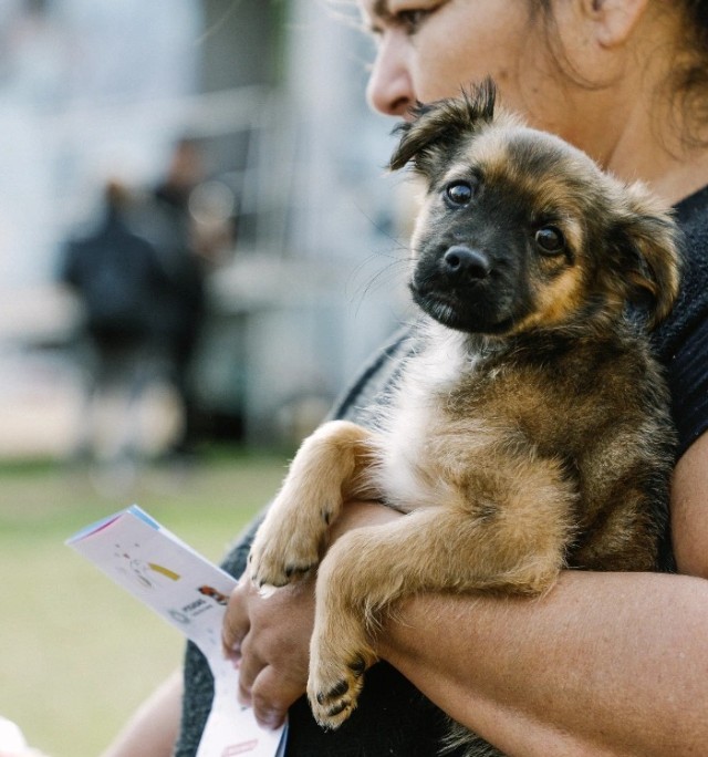 Imagen de la noticia: Cronograma de atención veterinaria y asesoramiento gratuito en los barrios