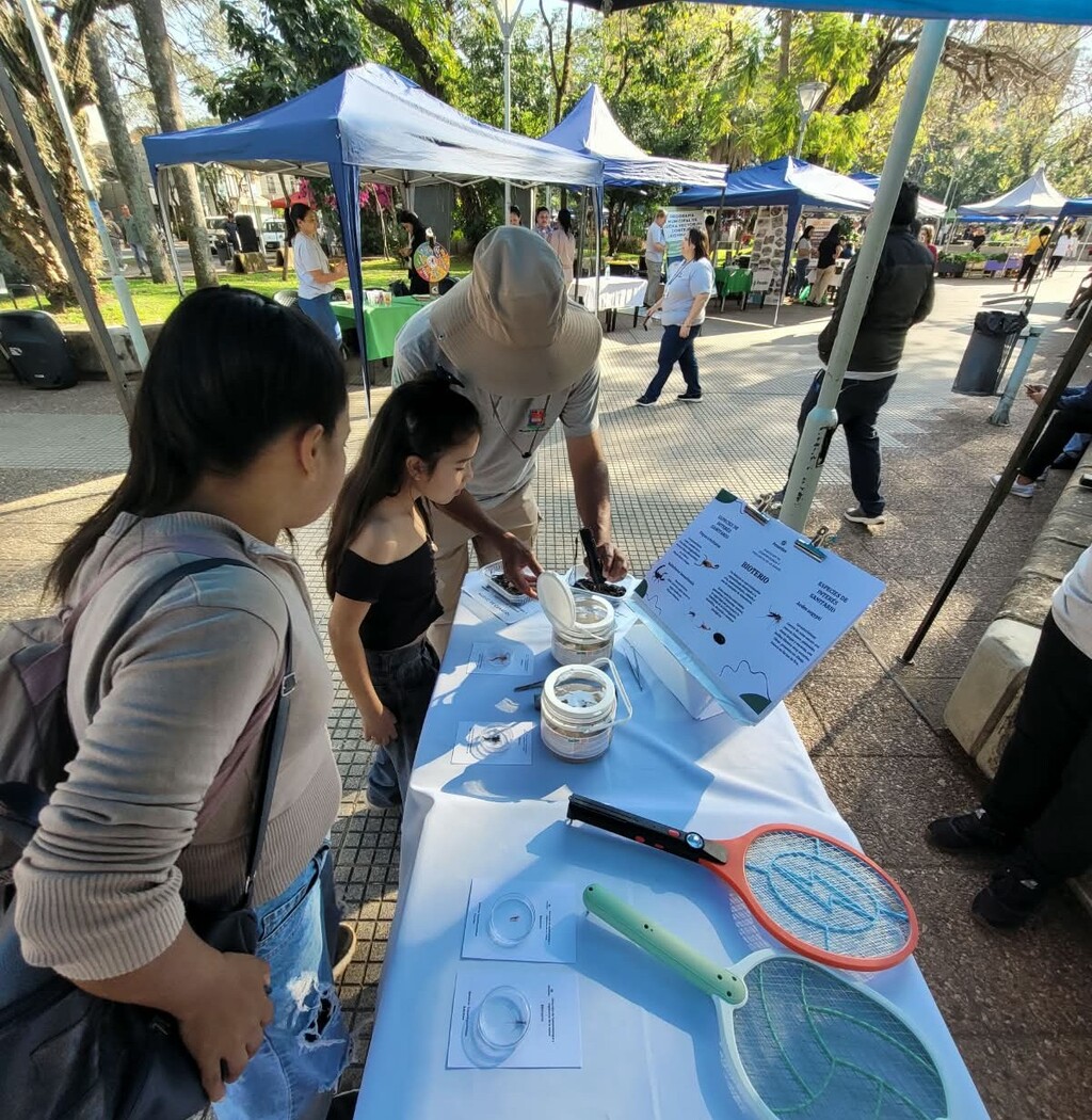 Una jornada de concientización en el Día Mundial contra el Dengue se realizó en la plaza San Martín 