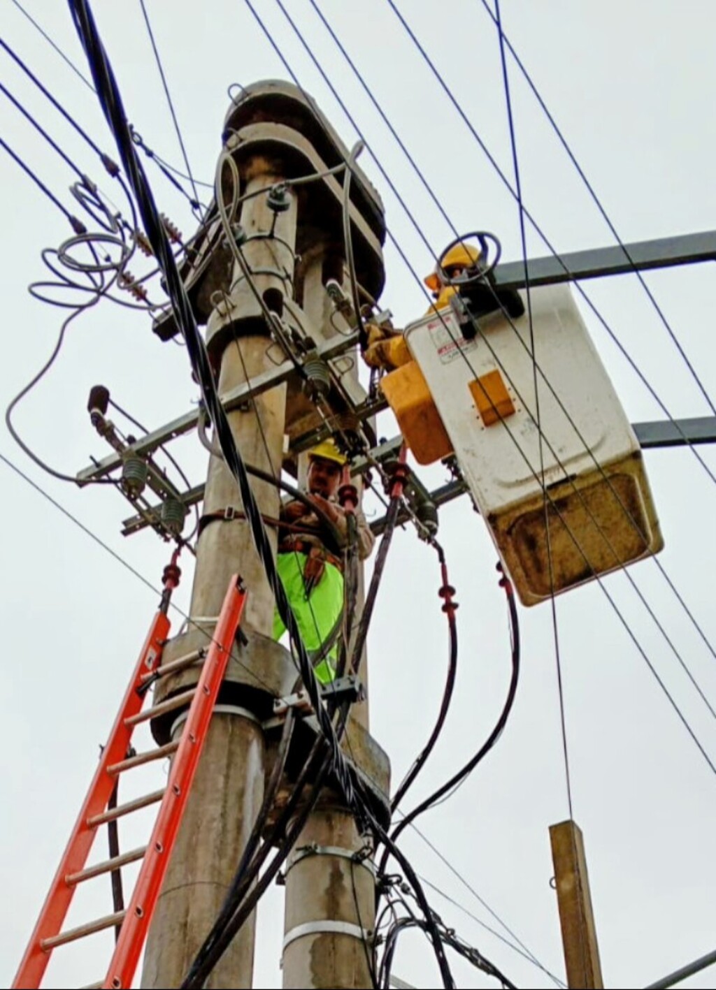 Energía de Misiones realizó operativos de emergencia en las zonas más golpeadas por el temporal