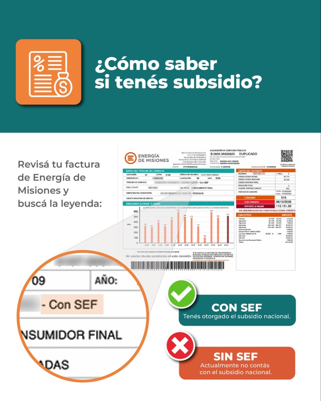 Régimen diferencial de subsidios eléctricos para Misiones: recomiendan a los usuarios verificar si están inscriptos en el SEF