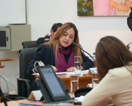Natalia Giménez, Concejal de Posadas por el Frente Renovador