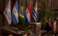 La Ruta de la Yerba Mate declarada Patrimonio Cultural del Mercosur