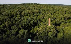 Se oficializó la creación del Primer Parque Federal en Misiones