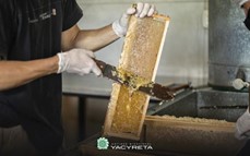 Yacyretá impulsa proyectos de producción apícola en Posadas
