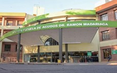 Destacan la importancia de los controles de rutina para un diagnóstico temprano de la leucemia