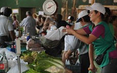 Economía familiar: abrirán una feria franca en el Jardin Botánico de Posadas