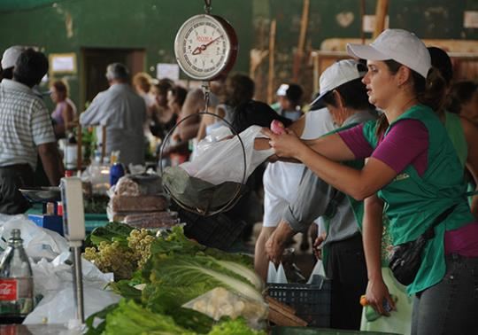Economía familiar: abrirán una feria franca en el Jardin Botánico de Posadas