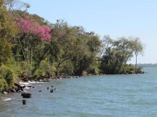Montecito de Villa Cabello: avanzan en la integración de la reserva al paisaje urbano de la ciudad con apoyo de Yacyretá