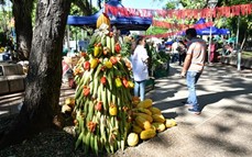 Mañana habrá una nueva Expo de la Agricultura Familiar en Posadas