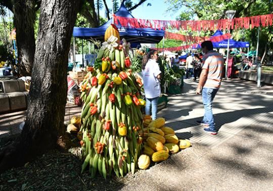 Mañana habrá una nueva Expo de la Agricultura Familiar en Posadas