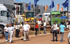 Feria Forestal en Posadas: la apertura oficial será este viernes