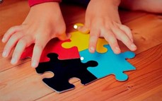 Abordaje inclusivo: se realizará la 1° Jornada Provincial de Autismo en Posadas